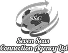Seven Seas Connection Agency